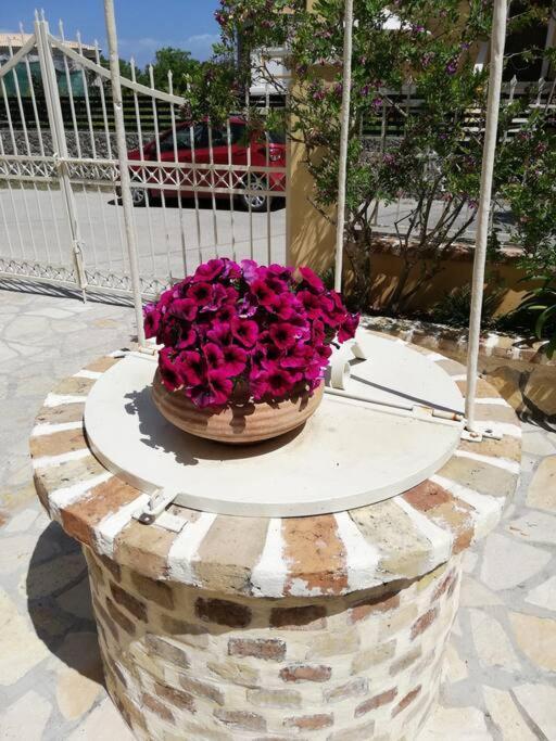 Sunny Stay Furnished Apartment In Kanoni Екстериор снимка
