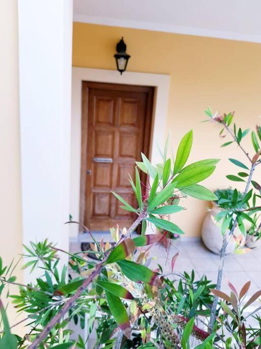 Sunny Stay Furnished Apartment In Kanoni Екстериор снимка